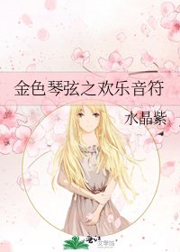 金色琴弦之欢乐音符