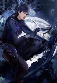 六瓣梅之京城風雲
