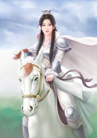 风流杨家将之宗宝救母