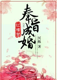 （红楼同人）[红楼]奉旨成婚
